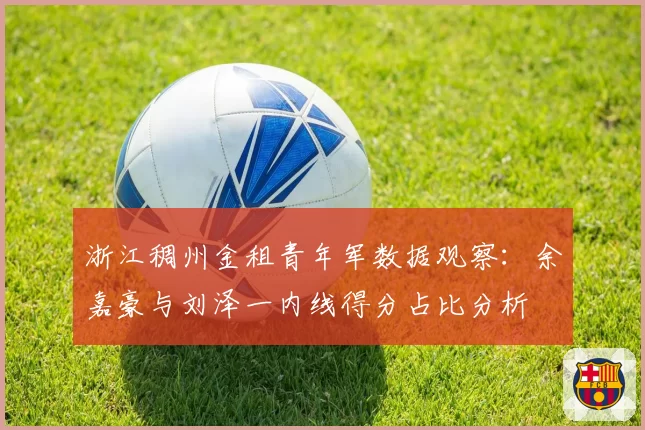 浙江稠州金租青年军数据观察：余嘉豪与刘泽一内线得分占比分析