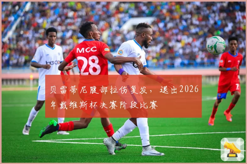 贝雷蒂尼腹部拉伤复发,退出2026年戴维斯杯决赛阶段比赛